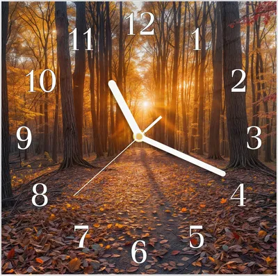 Produktbild von Wanduhr aus Glas mit Motiv Sonnenuntergang Wald- 30 x 30 cm - inkl. Aufhängesystem