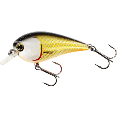 Produktbild von Westin BassBite Squarebill Floating 7cm (16g) Official Roach
