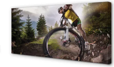 Imagen del producto de Cuadro decorativo para pared, 120x60 cm, diseño de montaña y bicicleta