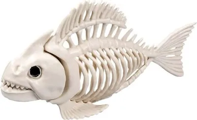 Obrázok produktu pre Halloweendeko - Tierskelett - 1 Stück