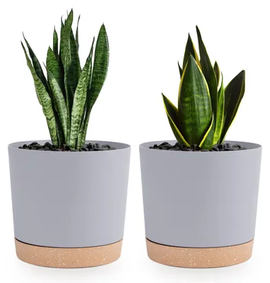 Obrázek produktu pro Sada dvou květináčů, rozměr 16,5 cm, s drenážními otvory, vhodná pro použití v interiéru i exteriéru
