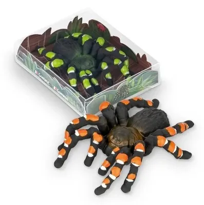 Produktbild von Radierer Vogelspinne (verschiedene Farben zur Auswahl)