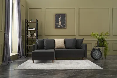 Produktbild von Hanah Home, Aydam- BLC1719, Anthrazit, Schlafsofas, Rahmen: Buchenholz
