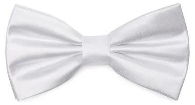 Produktbild von Ladeheid Elegante Herren Fliege -Hochwertig Glänzend Verstellbar BMS (12cmx6cm)