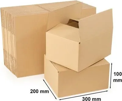 Zdjęcie produktu dla Karton klapowy 300x200x100mm Pudło Kartonowe - 10 szt.
