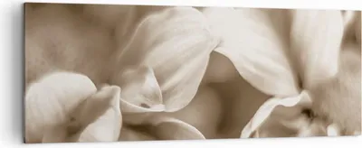 Produktbild von Bild auf Leinwand - Leinwandbild - Einteilig - Blumen Boho ohne - 140x50cm - Wand Bild - Wanddeko - Wandbilder - Leinwanddruck - Bilder - Wanddekoration - Leinwand bilder - Wandbild - AB140x50-4767