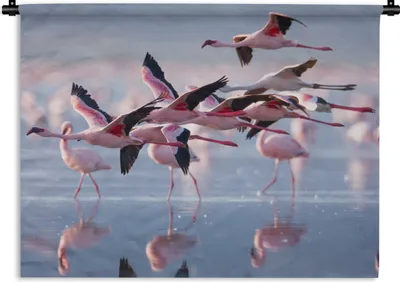 Produktbild von MuchoWow® Wandteppich Wandbehang Flamingo - Vogel - Wasser - Rosa 120x90 cm Tapisserie Dekoration Wandtuch - Wohnen - Aufhänger für die Wand