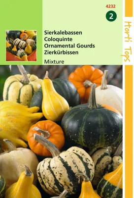 Produktbild von Zierkürbis Klein- und Grossfruchtige Mischung | Zierkürbissamen von Hortitops