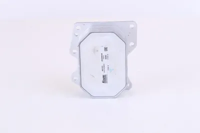 Produktbild von NISSENS 90752 Ölkühler Motoröl für FIAT Ducato Kastenwagen (250, 290) Ducato Pritsche / Fahrgestell (250, 290) für CITROËN JUMPER Kasten für FORD