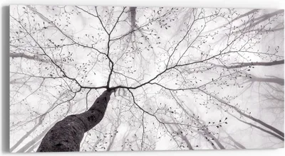 Produktbild von DEQORI Glasbild Echtglas 60x30 cm 'Stille Resilienz' Wandbild Bild modern Deko