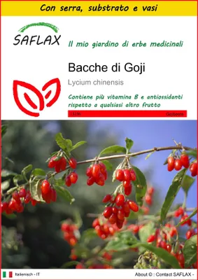 Immagine prodotto di SAFLAX Insieme di coltivazione - Bacche di Goji - 200 semi - Lycium