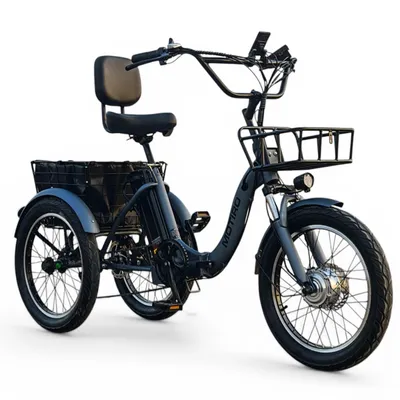 Zdjęcie produktu dla Motiro M19 rower elektryczny trójkołowy dla dorosłych, szary – prawie zmontowany, fatbike 20", 250 W, 36 V 10,4 Ah, zasięg do 60 km, Shimano 7, 2 kosze