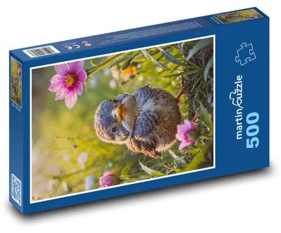 Obrázok produktu pre Puzzle 500 Vtáčatko medzi kvetmi - martinpuzzle