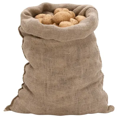 Image de vidaXL Sacs en jute 30 pcs. 60x105 cm 100% jute 220 g/m