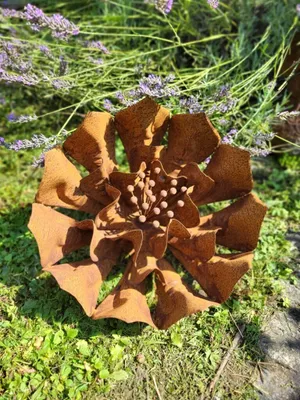 Produktbild von Edelrost Blume Daphne