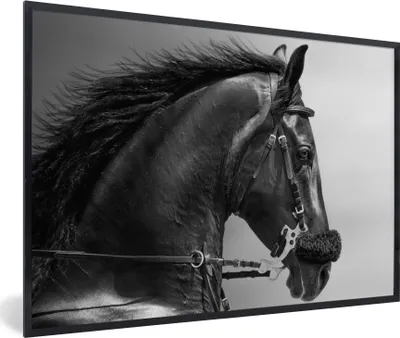 Produktbild von MuchoWow® Gerahmtes Poster Pferde - Schwarz - Porträt - Tiere 90x60 cm - Poster mit Schwarzem Bilderrahmen Wandposter Rahmen Foto Bilder - Fotorahmen - Foto-Plakat