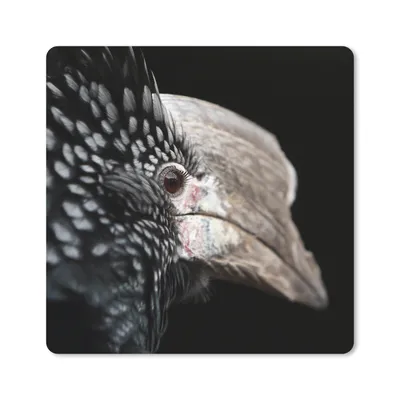 Produktbild von MuchoWow® Mauspad Mousepad Vogel - Schnabel - Federn 30x30 cm - Mousepads - Maus Mat - Pad - Mausunterlage - Gaming