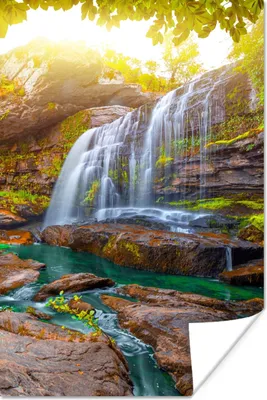 Produktbild von MuchoWow® Poster Natur - Wasserfall - Pflanzen - Bäume - Sonne 40x60 cm - Plakate für die Wand - Poster Babyzimmer