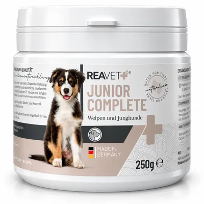 Immagine prodotto di REAVET Junior Complete per cuccioli e giovani cani: un'alimentazione completa e naturale per ossa, articolazioni, sistema immunitario e vitalità. Contiene cozze verdi, rosa canina e spirulina. 250 g
