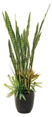 Image de EUROPALMS Mélange de plantes succulentes, plante artificielle, 190cm (82600035)