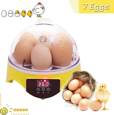 Obrázek produktu pro Inkubátor automatický, 7 vajec inkubátor teplota digitální líheň pro drůbež kuřecí kachny křepelky inkubace vejce chov