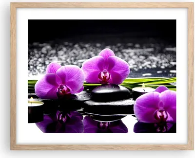 Produktbild von Gerahmtes Poster - Rahmen in heller Eiche - Orchidee Natur Wasser Blume - 50x40 cm - Wand Bild - Wanddeko - Wandbilder - Wandposter - Bilderrahmen - Bilder - Kunstdruck - Wandbild - P2NAA50x40-2658