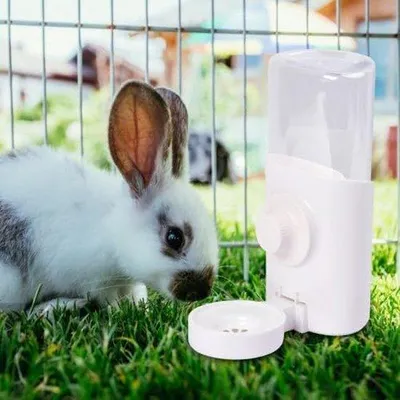 Image de Abreuvoir automatique de 600 ml pour petits animaux, lapins et hamsters