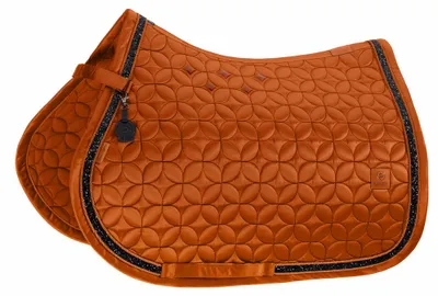 Produktbild von Platinum Schabracke Mattgloss Contrast Jewel 670 amber DL