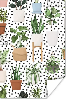 Produktbild von MuchoWow® Poster Pflanzen - Zimmerpflanzen - Schwarz - Weiß 80x120 cm - Papierdruck