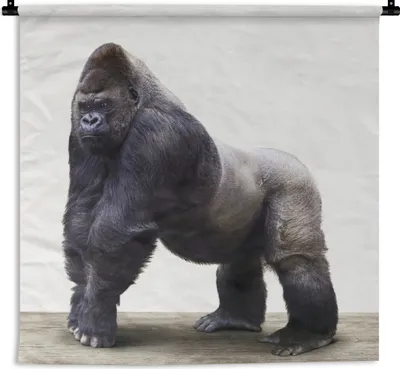 Produktbild von MuchoWow® Wandteppich Wandbehang Gorilla - Tiere - Jungen - Mädchen - Kinder 120x120 cm Tapisserie Dekoration Wandtuch - Modern - Baumwollgewebe