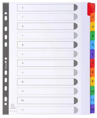 Image de Registre DIN A4, 12 intercalaires, carton coloré, 160 g, Exacompta