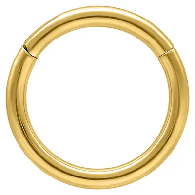 Produktbild von Wildcat Piercingringe - Hinged Ring aus Titan Grad 23, Körperstelle: Ohr, Nase, Lippe, Bauchnabel, Stärke: 1,6mm| Durchmesser: 7,0mm, Gold