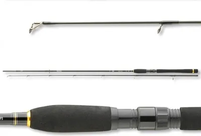 Produktbild von Daiwa Legalis Spin 2,10m 5-20g