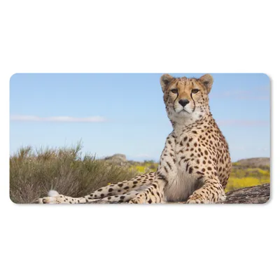 Produktbild von MuchoWow® Schreibtischunterlage Leopard - Tiere - Natur 80x40 cm - XXL Mauspad - Gaming Mauspad