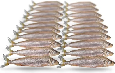 Produktbild von Prebaits Stinte Klein 7-12cm 120gr