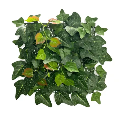 Zdjęcie produktu dla Plant wall Ivy Długowieczna sztuczna roślina z liśćmi bluszczu 33 x 33 cm