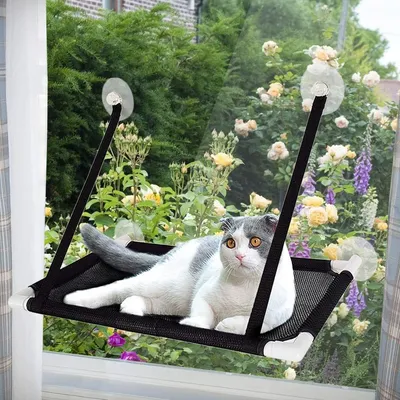Productafbeelding van Famanu vensterbank voor katten - 60 x 35 cm, geschikt voor katten tot 10 kg