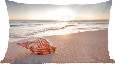 Produktbild von MuchoWow® Zierkissen Sofakissen Wohnzimmer Dekokissen 50x30 cm Muschel - Strand - Himmel - Wohnzimmerdekoration - Polster mit Photo