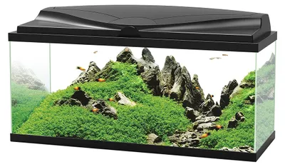 Productafbeelding van Ciano 80 LED CF80 | 74L | 80 x 30 x 41,5CM Zwart Aquarium Complete set