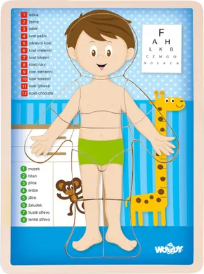 Obrázek produktu pro Puzzle "Lidské tělo" - Kluk CZ
