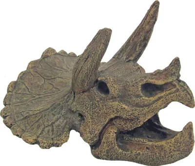 Produktbild von Aquarium Dekoration Triceratops Schädel Miniatur Dekofigur Fische Garnelen Amtra