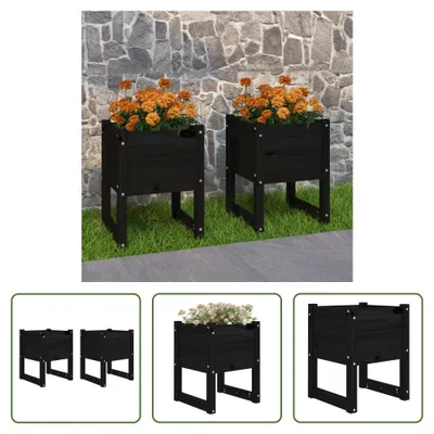 Produktbild von The Living Store Pflanzkübel 2 Stk. Schwarz 40x40x52,5 cm Massivholz Kiefer