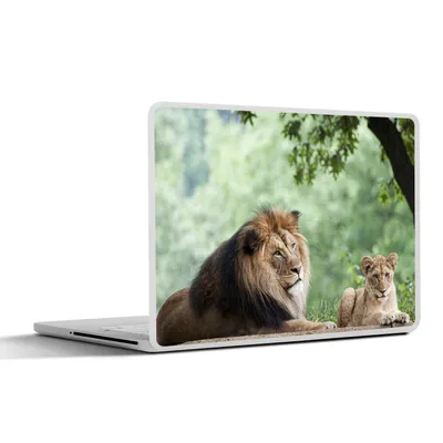 Produktbild von MuchoWow® Laptop Aufkleber Sticker Cover Löwe - Baum - Pflanze 30x22 cm - Laptop-Sticker