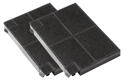 Two charcoal filters for a range hood.