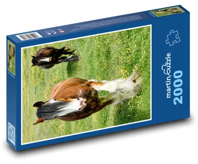 Obrázok produktu pre Puzzle 2000 Kone na rozkvitnutej lúke - martinpuzzle