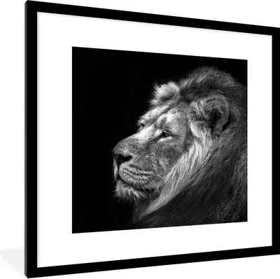 Produktbild von MuchoWow® Gerahmtes Poster Löwe vor schwarzem Hintergrund in Schwarz und Weiß 40x40 cm - Poster mit Schwarzem Bilderrahmen Wandposter Rahmen Foto Bilder - Poster - Plakat im Rahmen
