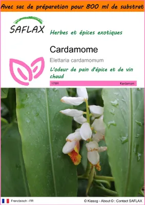Image de SAFLAX Garden in the bag - Cardamome - 20 graines - Elettaria