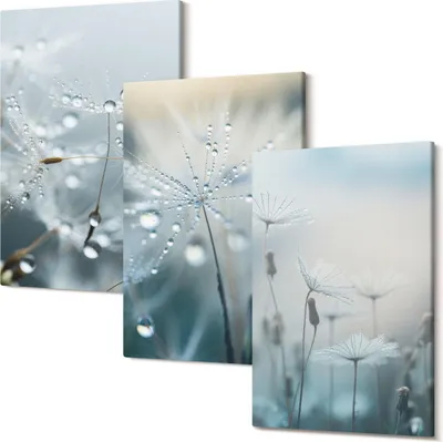Produktbild von Wandbild – Leinwandbild – Leinwandbilder – Polycanvas – Kunstdruck – Modern – Panorama – Mehrteilig – 3-Teilig Set – Hochwertig – Lichtecht – Geruchslos – 40x60 Cm Je Element - Tautropfen auf zarten Löwenzahnblüten