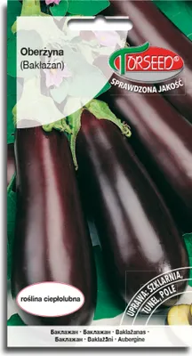 Produktbild von Black Beauty Samen 0.5g - Torseed