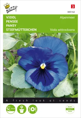 Produktbild von Stiefmütterchen Schweizer Riesen Alpensee | Stiefmütterchensamen von Buzzy Seeds